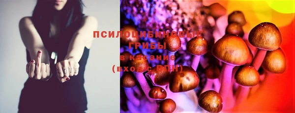 дурь Алексин