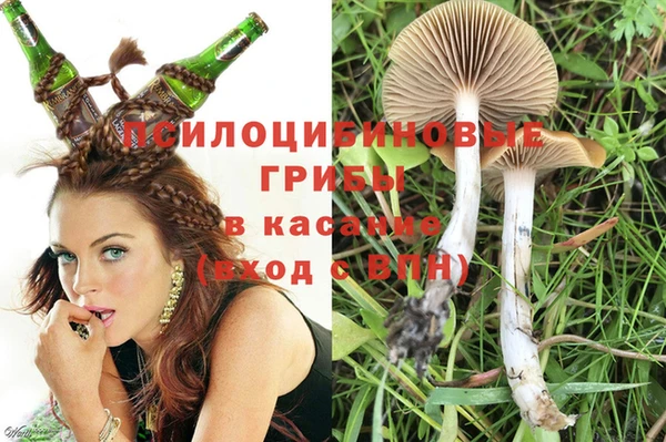 дурь Алексин